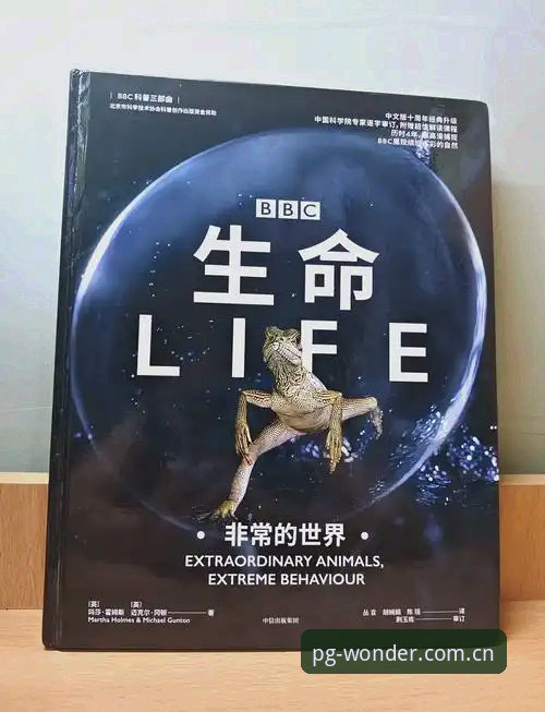 索斯盖特纪录片深度解读：年轻男性“危机”背后的实用应对指南